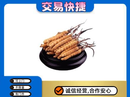 沧州礼品回收散虫草.jpg
